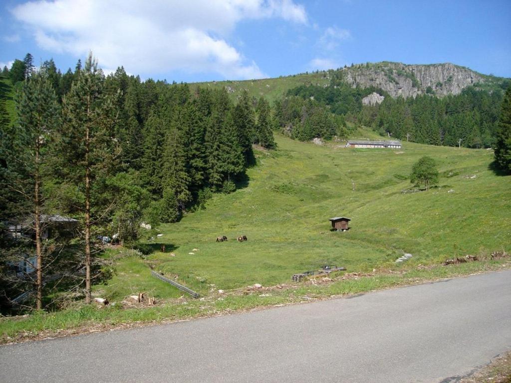 Hotel Camping du Parc de La Fecht à Munster  Extérieur photo